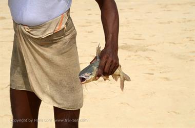 Chowara Beach,_DSC_9170_H600